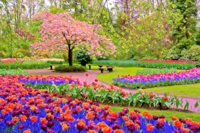 رسمياً..فصل الربيع يبدأ الجمعة