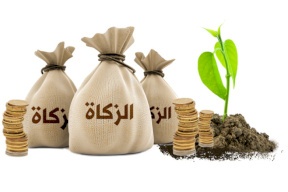ما مقدار زكاة الفطر وفدية الصوم ونصاب الزكاة هذا العام؟