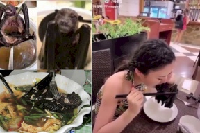 بالفيديو| أكيد أنكم شاهدتم هذه الصورة من قبل .. لكن هل تعرفون حقيقتها؟