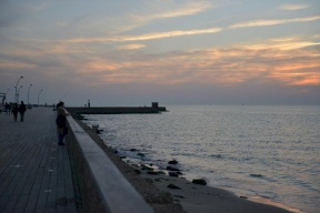 "اسرائيل" تقرر اعادة فتح الشواطئ 