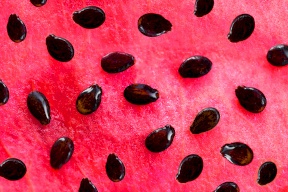 تعرف على فوائد تناول بذور البطيخ