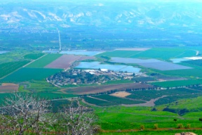 الأردن: سنرد إذا نفذت إسرائيل قرار الضم 