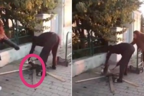 فيديو: رجل يشوي قطة في الشارع في مشهد وحشي مخيف