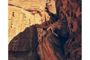 صور| "مشاهد فاضحة" في مدينة النبي محمد!