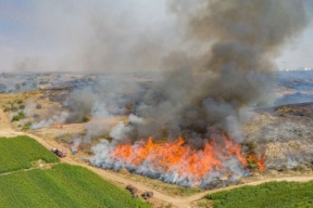  البالونات الحارقة التهمت 5000 دونما بمناطق غلاف غزة