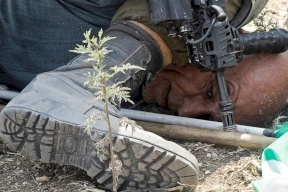 إيران تعلق على جثم جندي إسرائيلي بركبته فوق عنق مسن فلسطيني