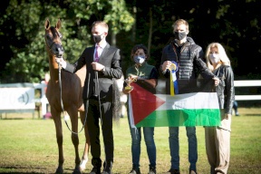 إنجاز فلسطيني في مسابقة عالمية مرموقة للخيول الأصيلة