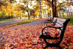 فلكي يحدد موعد نهاية الصيف وبداية الخريف