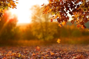 الأرصاد: أجواء حارة نسبياً تتحول إلى خريفية معتدلة