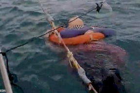 فيديو: العثور على امرأة حية وسط البحر بعد عامين من اختفائها