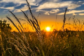 الأرصاد: ارتفاعات متتالية على الحرارة لآخر الأسبوع