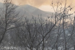 سوريا تعلن إخماد كافة الحرائق البالغ عددها 156