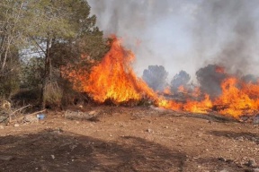 إسرائيل تُعلن الجليل الأعلى "منطقة كوارث"