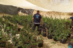 صور: ضبط مشتل مخدرات جنوب الخليل