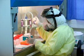 الصحة: 8 وفيات و442 إصابة جديدة بكورونا وتعافي 281 مريضاً