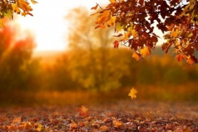 حالة الطقس: أجواء خريفية معتدلة