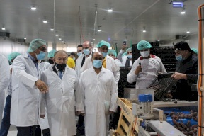 العسيلي: سنصدر تمور إلى دبي و5 دول أوروبية