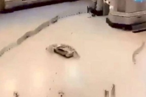 فيديو: سيارة تقتحم ساحات الحرم المكي 