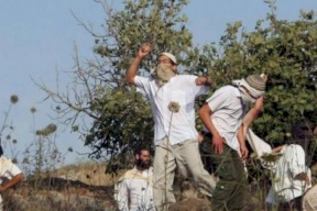 سابقة- تسجيل أول دعوى أمام القضاء الفلسطيني ضد مستوطن