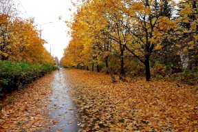 حالة الطقس: ارتفاع طفيف على درجات الحرارة