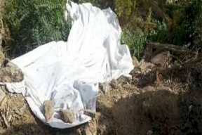 مقتل مسنة على يد أحفادها بغرض سرقتها
