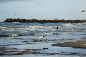 حالة الطقس: أجواء غائمة باردة وفرص ضعيفة لسقوط الأمطار