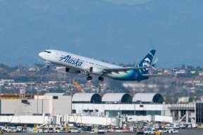 طائرة تصدم دبا في ألاسكا والنتيجة "دامية"