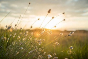 حالة الطقس: أجواء لطيفة ودافئة وارتفاع على الحرارة