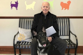 إصابة بايدن بكسر في قدمه أثناء اللعب مع كلبه!