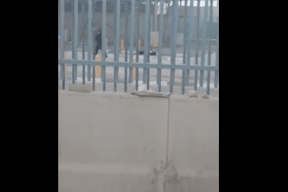 فيديو: إصابة شاب برصاص الاحتلال عند حاجز قلنديا