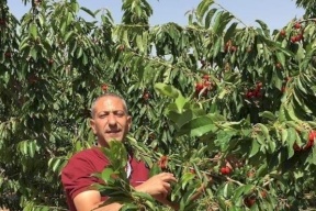 إعلان إسرائيلي.. ما نتيجة التحقيق في تعذيب سامر العربيد؟