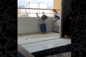 فيديو مؤثر - قطة تُحاول إنقاذ رضيع من الموت