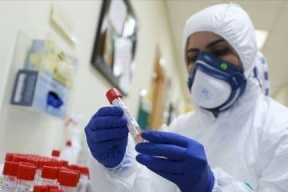 الصحة: 15 وفاة و824 إصابة بفيروس كورونا في فلسطين 