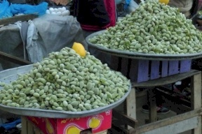 سعر كيلو اللوز الأخضر في أسواق فلسطين يصل لـ200 شيكل!