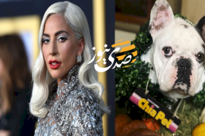 ليدي غاغا تعرض مكافأة نصف مليون دولار لمن يعيد كلبيها (صور)