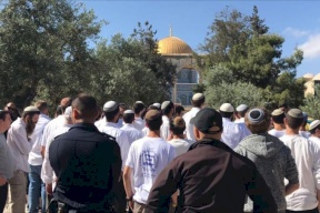 مستوطنون يقتحمون الأقصى والاحتلال يشدد إجراءاته في البلدة القديمة