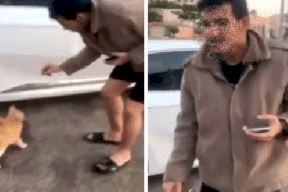 حارق القط بالسجائر يشعل غضباً عارماً .. مشهد صدم الجميع ودعوات لمحاسبته! (فيديو)