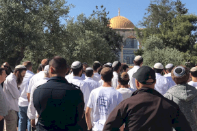 "ليحترق العرب".. مستوطنون يستعدون لمهاجمة الفلسطينيين بالقدس