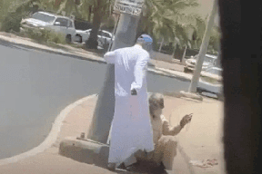 كويتي يعتدي على وافد مسن بالشارع بشكل مستفز.. وفزعة امرأة تنقذه! (فيديو)