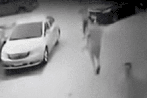 مصر.. انتشار فيديو مرعب يسبب ضجة كبيرة في القاهرة