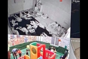 بعد شكوى.. إيقاف إحدى الحضانات برام الله عن العمل