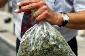 الماريجوانا والنبيذ مكافأة لمن يتلقى لقاح فيروس كورونا في هذا البلد