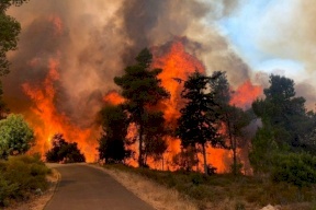 إدعاءات إسرائيلية: حرائق القدس "متعمّدة وعلى خلفية قومية"