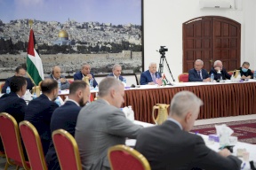 الرئيس يستقبل وفدًا من الكونغرس الأميركي