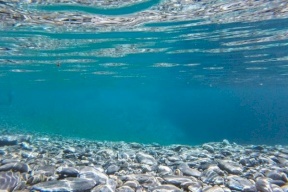 صحيفة إسرائيلية تكشف عن مشروع يربط بين السعودية و"إسرائيل"