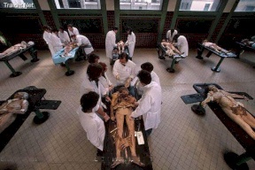 طالب طب يتعرض لموقف لا يحسد عليه في محاضرة تشريح: وجد جثة صديقه على الطاولة!