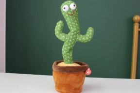 ما حقيقة "الصبارة الراقصة" التي أحدثت فيديوهاتها تفاعلا واسعا؟ (فيديو)