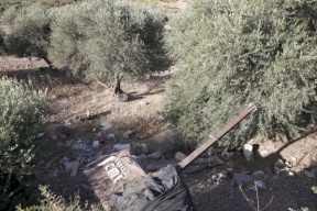 تقرير إسرائيلي: كمامجي ونفيعات انفصلا وأحدهما في الضفة