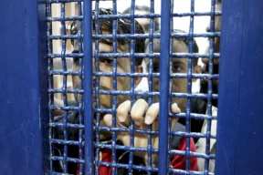 نادي الأسير: عشرات الأسرى يعانون من آثار التنكيل وعمليات القمع