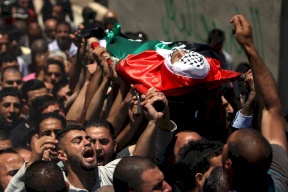 341 شهيدًا منذ مطلع العام الجاري